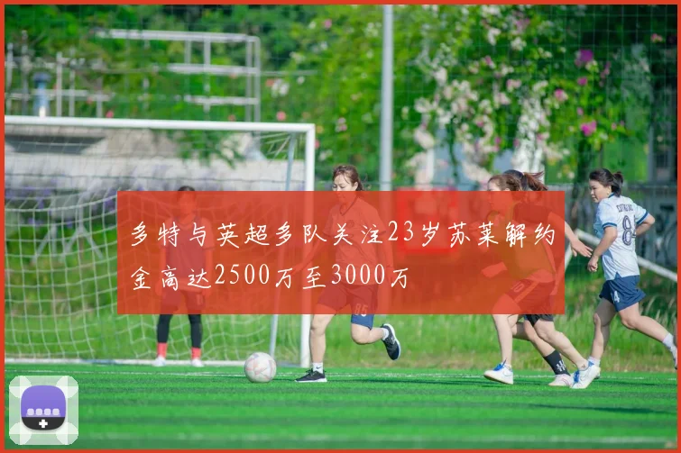 多特与英超多队关注23岁苏莱解约金高达2500万至3000万